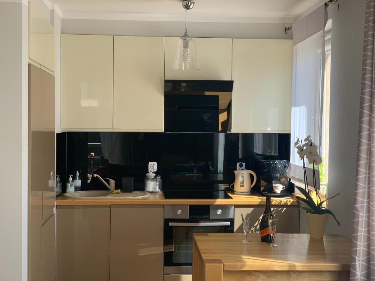 Malva Sun Dog Friendly Apartment With Garden كولوبرزيغ المظهر الخارجي الصورة